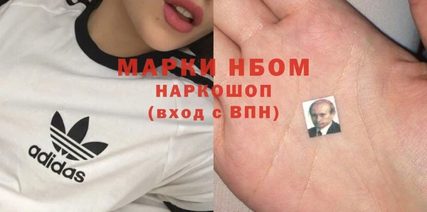 индика Алексеевка