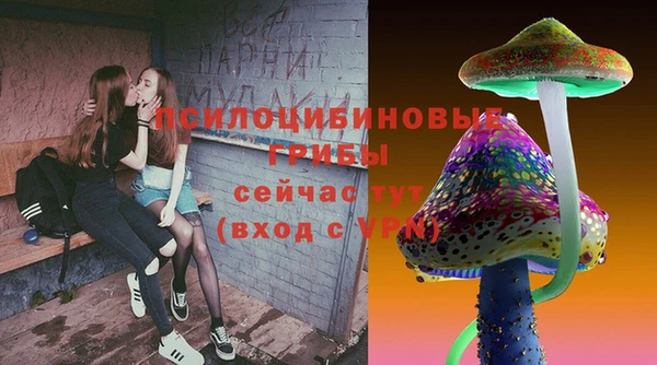 индика Алексеевка