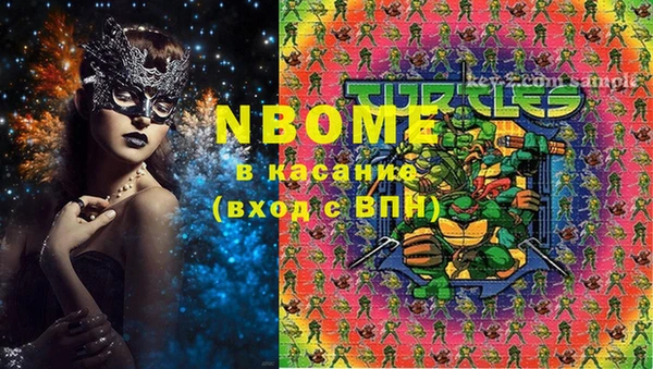 индика Алексеевка
