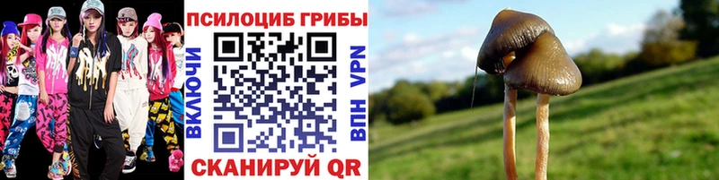 Галлюциногенные грибы прущие грибы  MEGA как войти  Новомичуринск  как найти закладки 