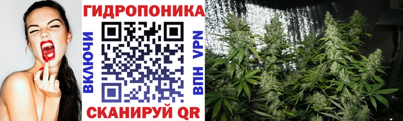 дарк нет формула  Новомичуринск  Бошки Шишки сатива 
